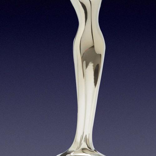 MOWA receives international award - Vimarsana News