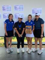 Lady Hawks place second at state tourney