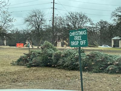 City offering Christmas tree recycling
