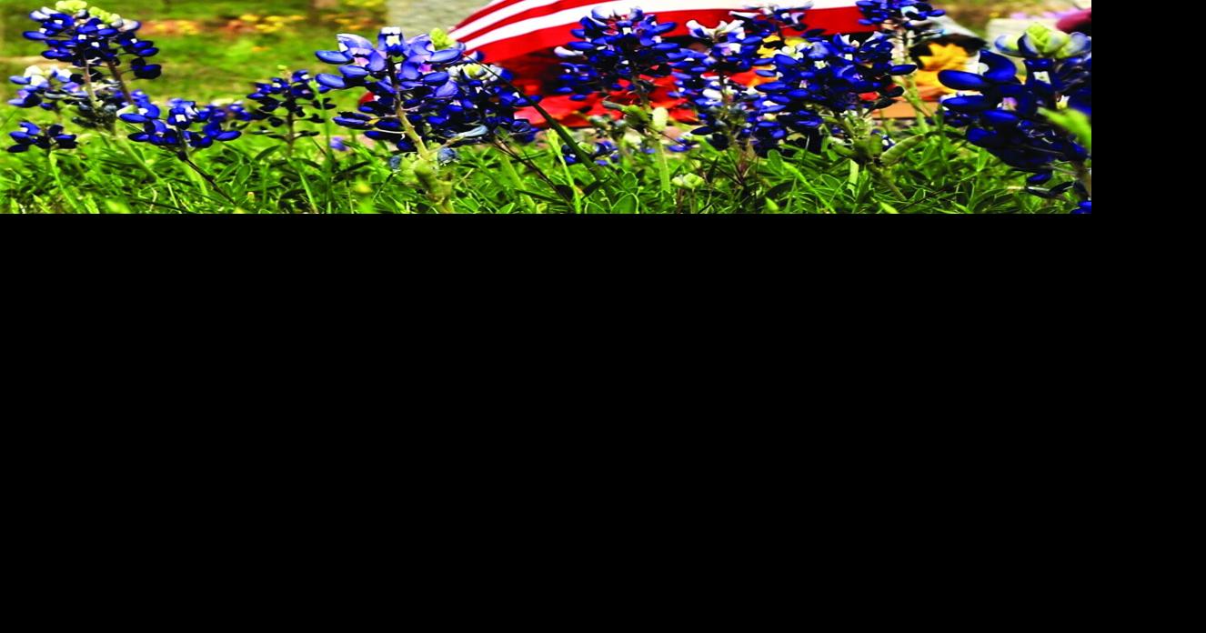 U.S. Flag Day ceremonies honor history, tradition