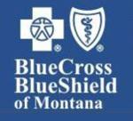 Blue Cross Blue Shield-local