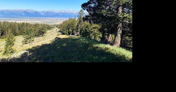 Road, campground upgrades proposed near Jackson, Wyoming - Vimarsana News