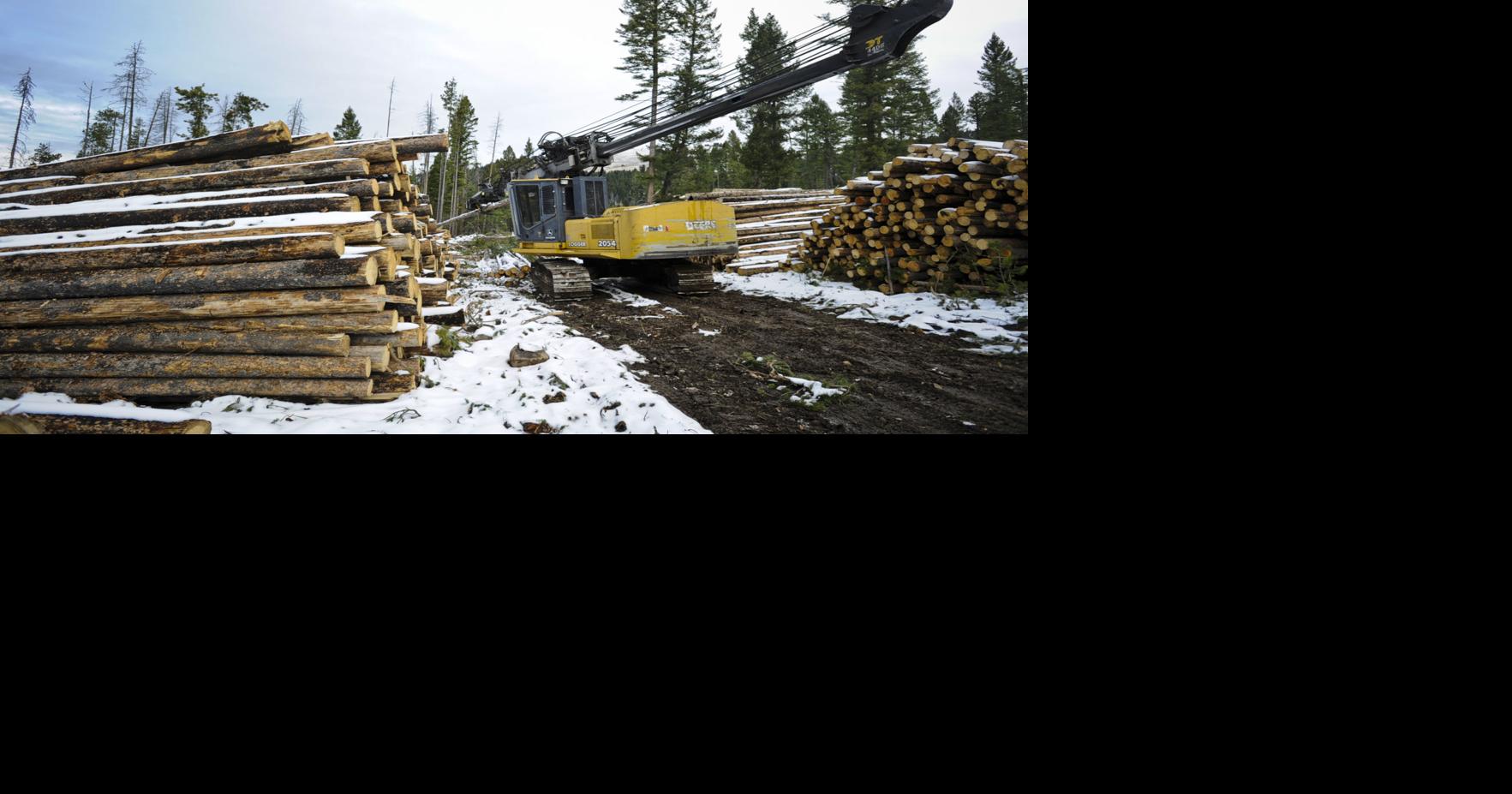 State, federal logging plans in western Montana advance