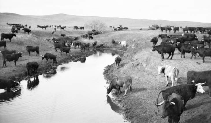 old-montana-water-photo.jpg