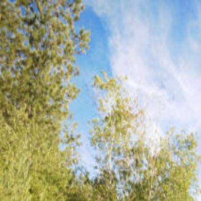 Fishing Report Published Sept 25 Local Helenair Com