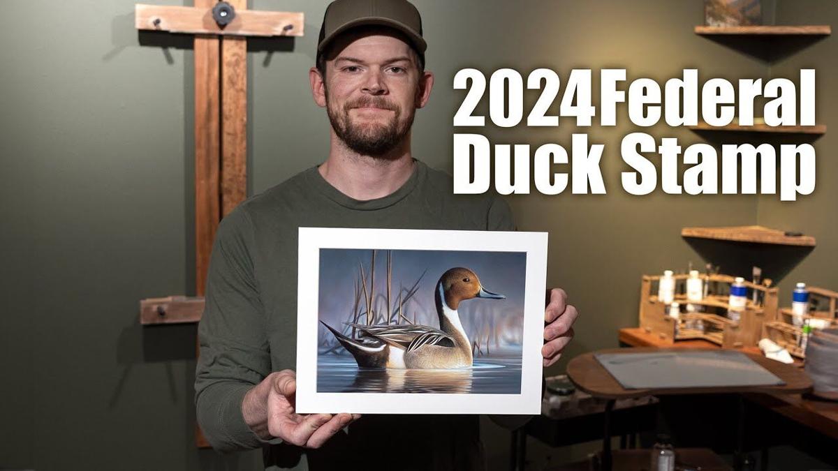 Chuck Black first Montanan to win Federal Duck Stamp Contest