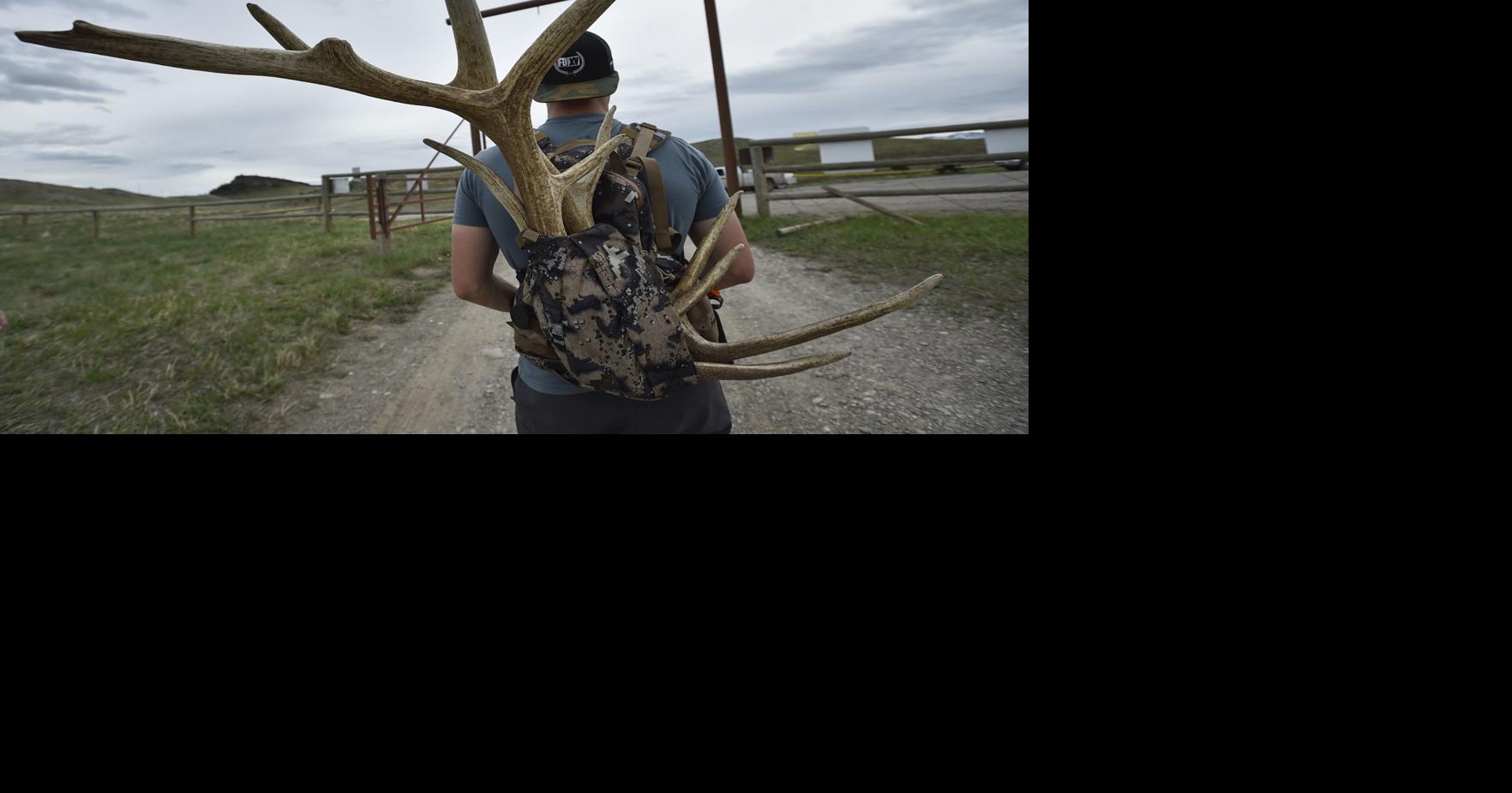 Photos Sun River shed hunt