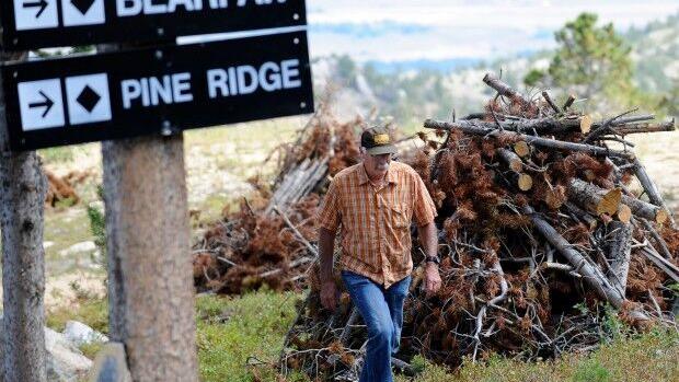 Grant helps fund logging on Red Lodge Mountain, other areas across eastern Montana - Vimarsana News