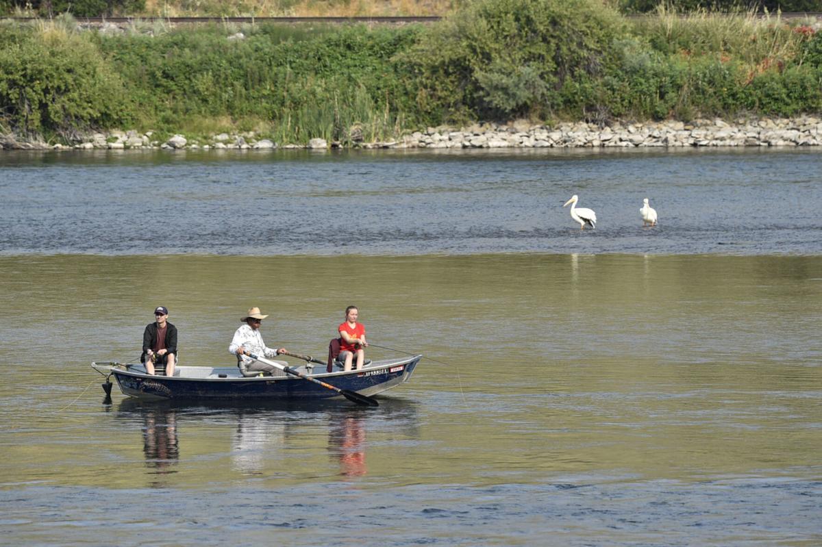 Anglers fish the Missouri River