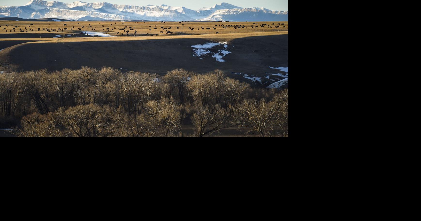 A Painful Battle: Did clinic flood this reservation with opioids? Or offer a haven?