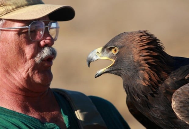 Casper, Wyo. man hunts with Golden Eagle