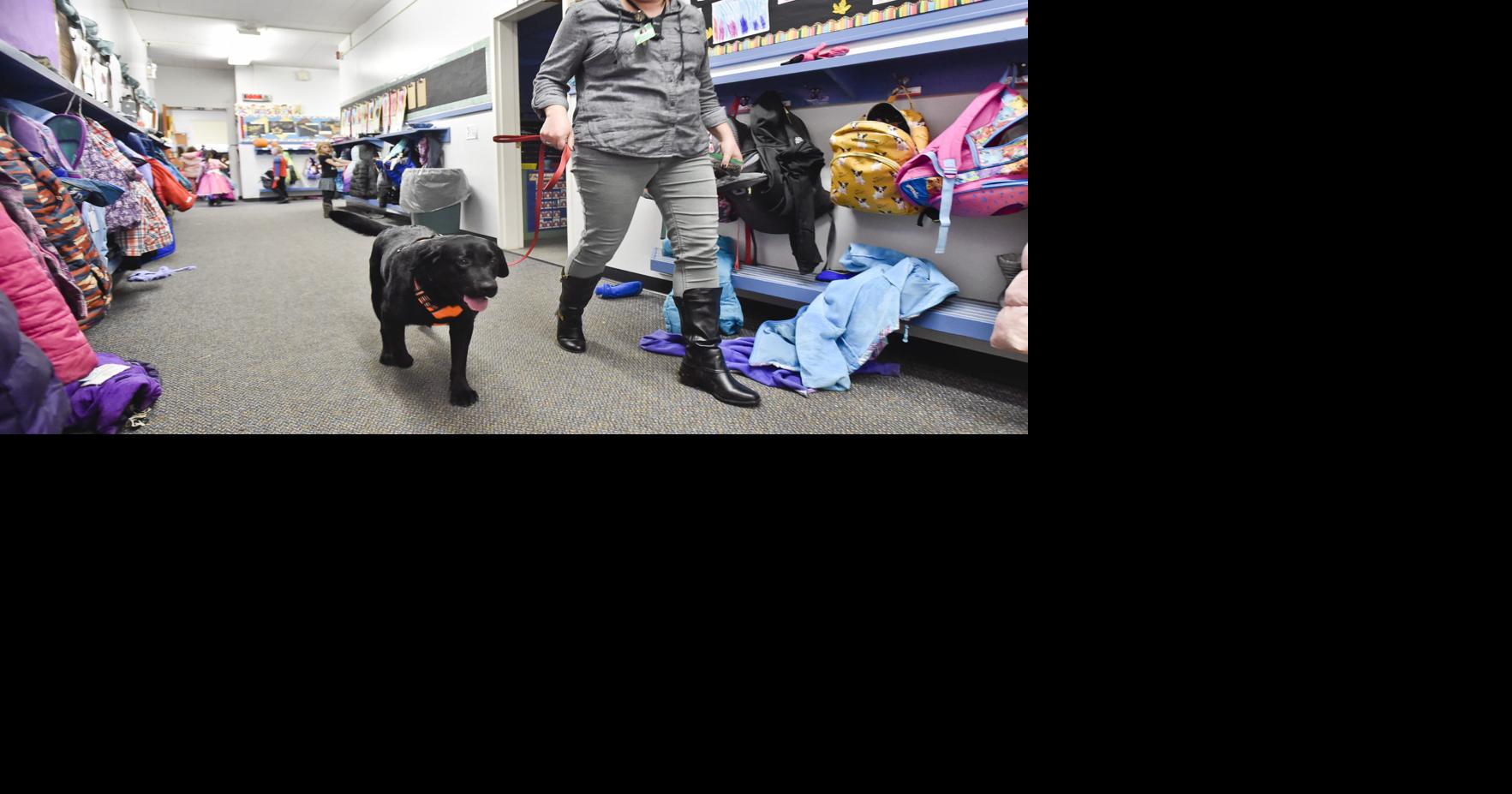 Broadwater Elementary is Helena's first school to get a facility dog