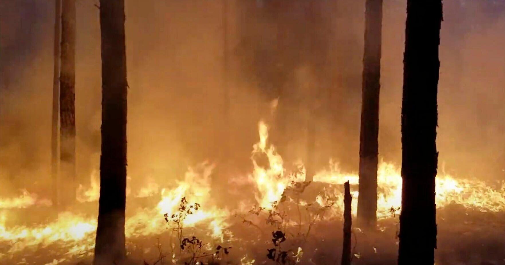 Indoor air quality suffers during wildfires - Vimarsana News