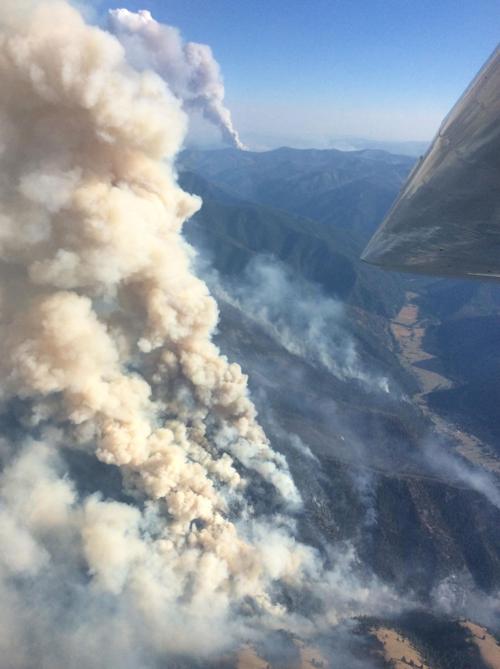 An aerial photo of the Goat Creek fire.