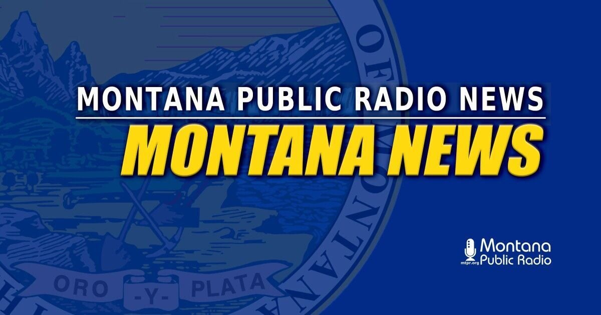 New partnership brings mental health care to Missoula summer camps
