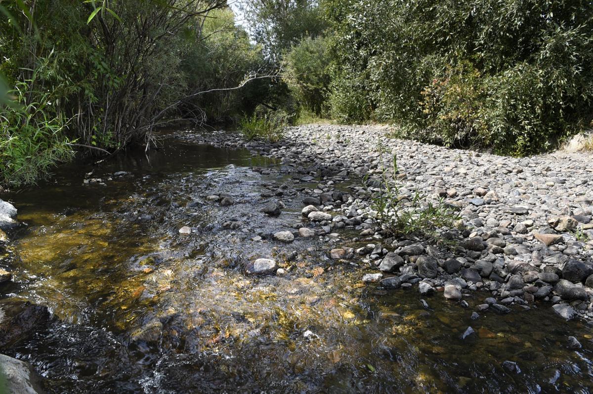 Ten Mile Creek flows through the Helena valley (copy)