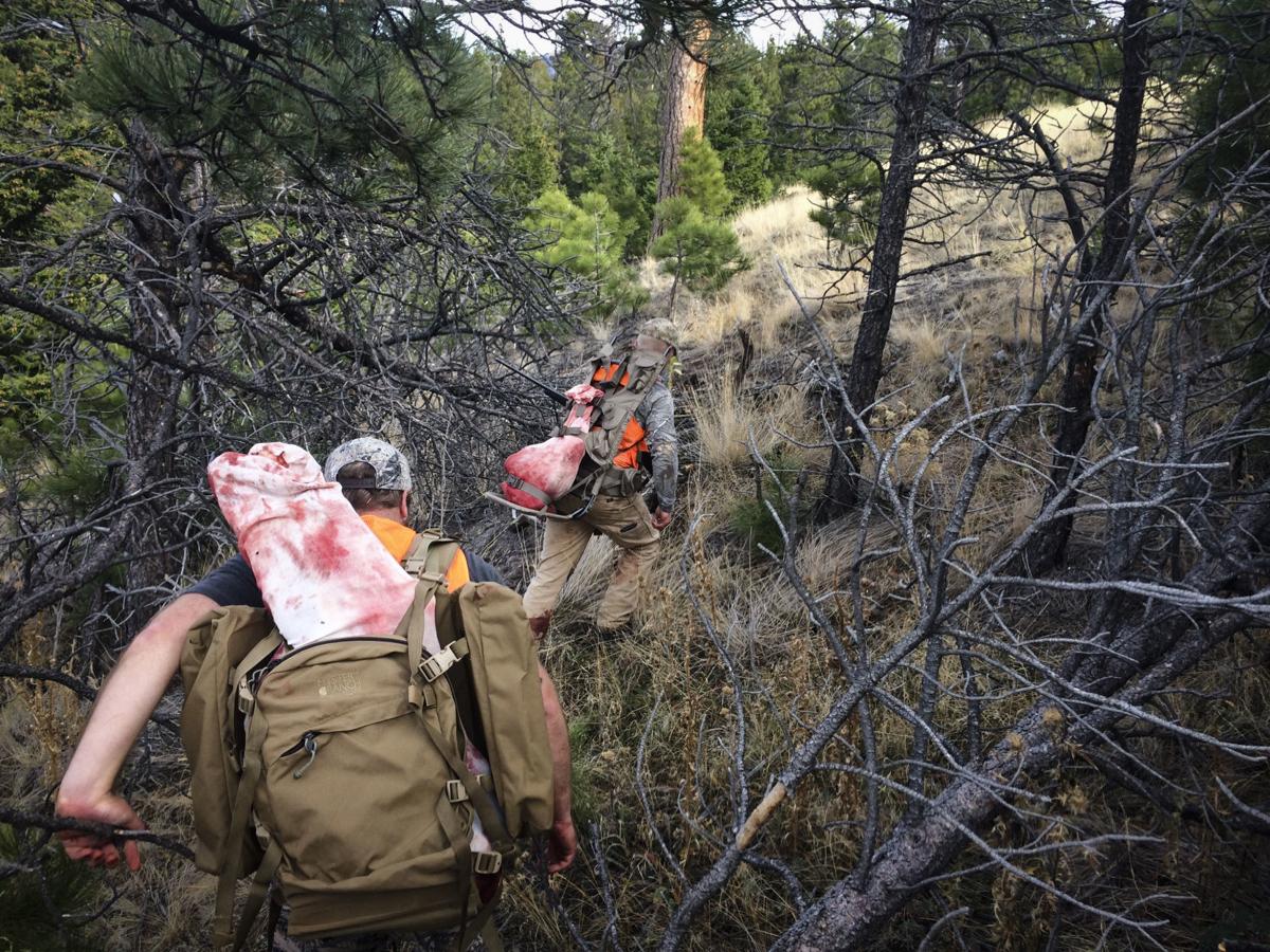 Hunters pack out two elk quarters