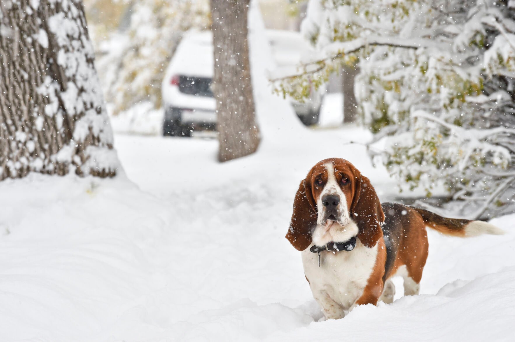 Ready Or Not: Snow Expected To Hit Helena This Week