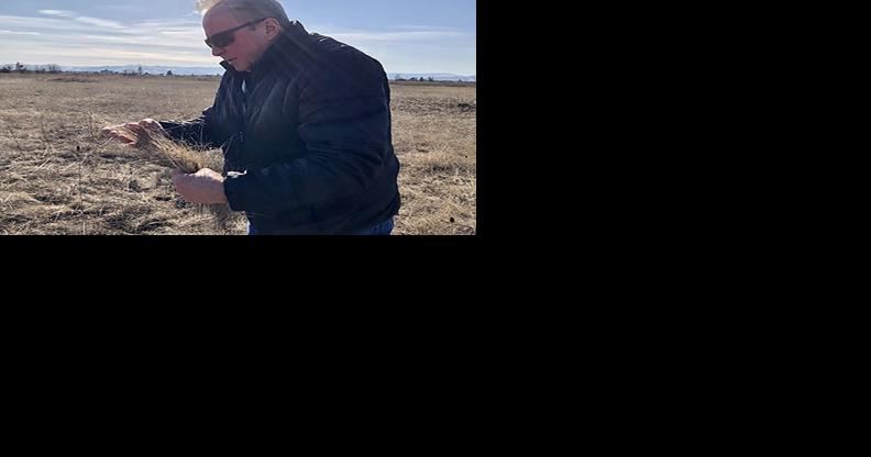 New University of Montana climate project supports Indian Country - Vimarsana News
