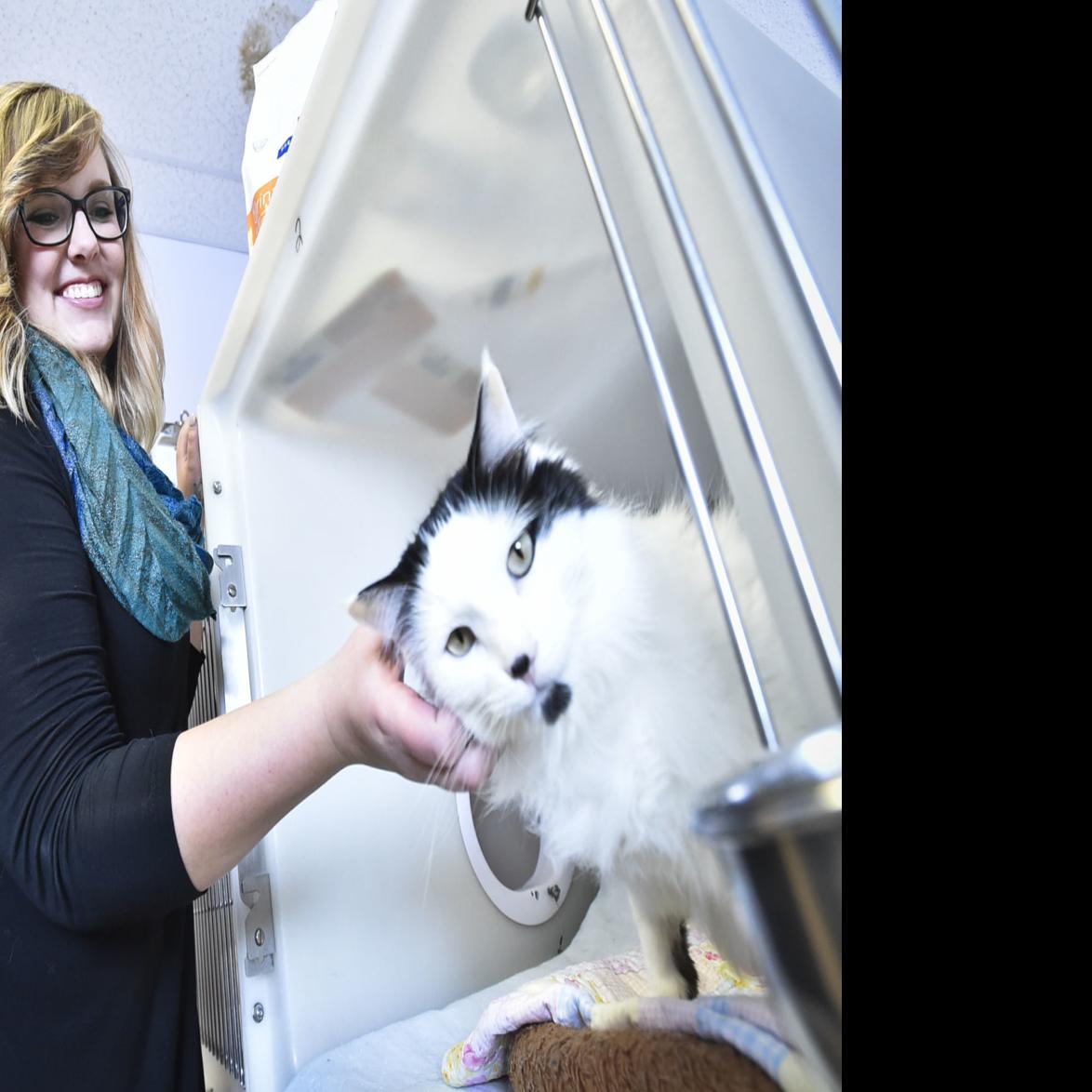 New Executive Director Takes Over Humane Society In Helena Local