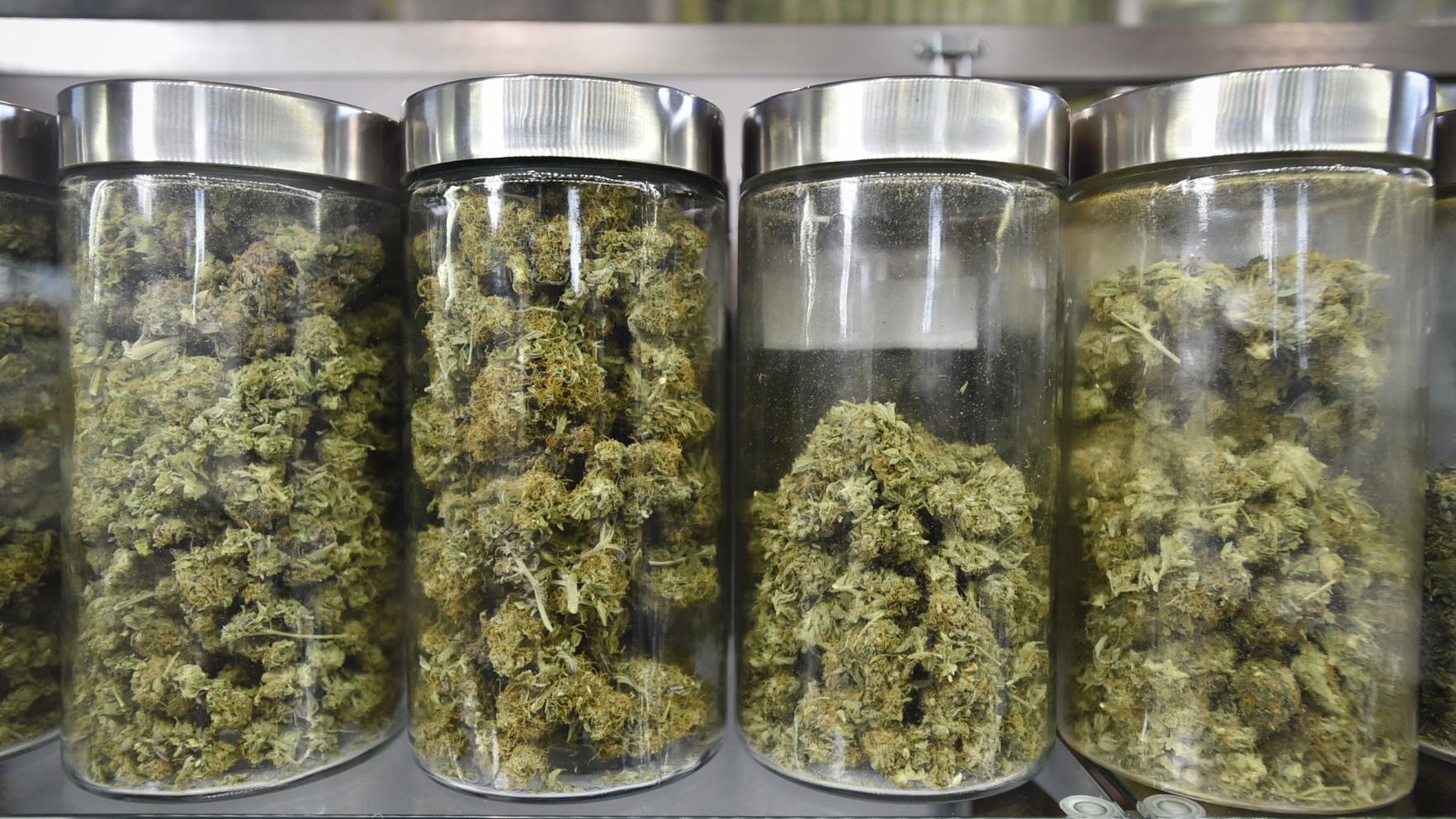 Crow Tribe set to enter cannabis industry - Vimarsana News