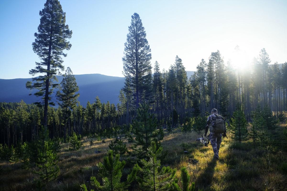 A bow hunter