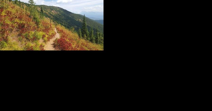 Teenager missing in Glacier National Park - Vimarsana News