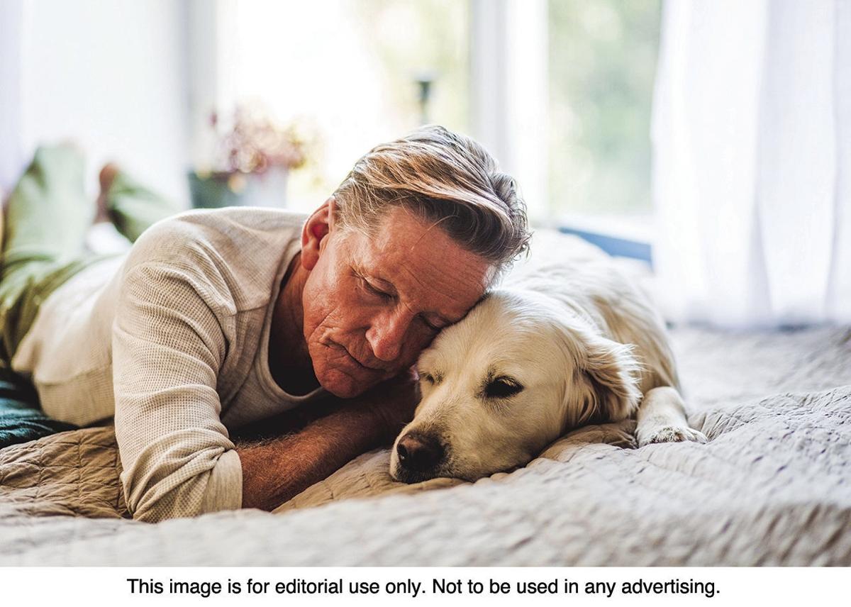 amazing benefits to seniors having pets