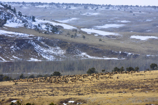 [updated] Senate Passes Defense Bill With Montana Wilderness Additions