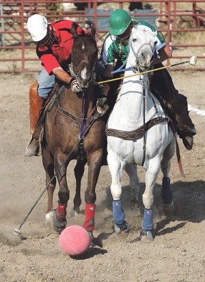 cowboy polo