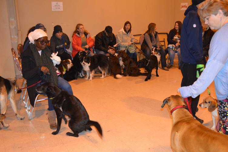 Humane Society clinic offers lowcost vaccines, microchips