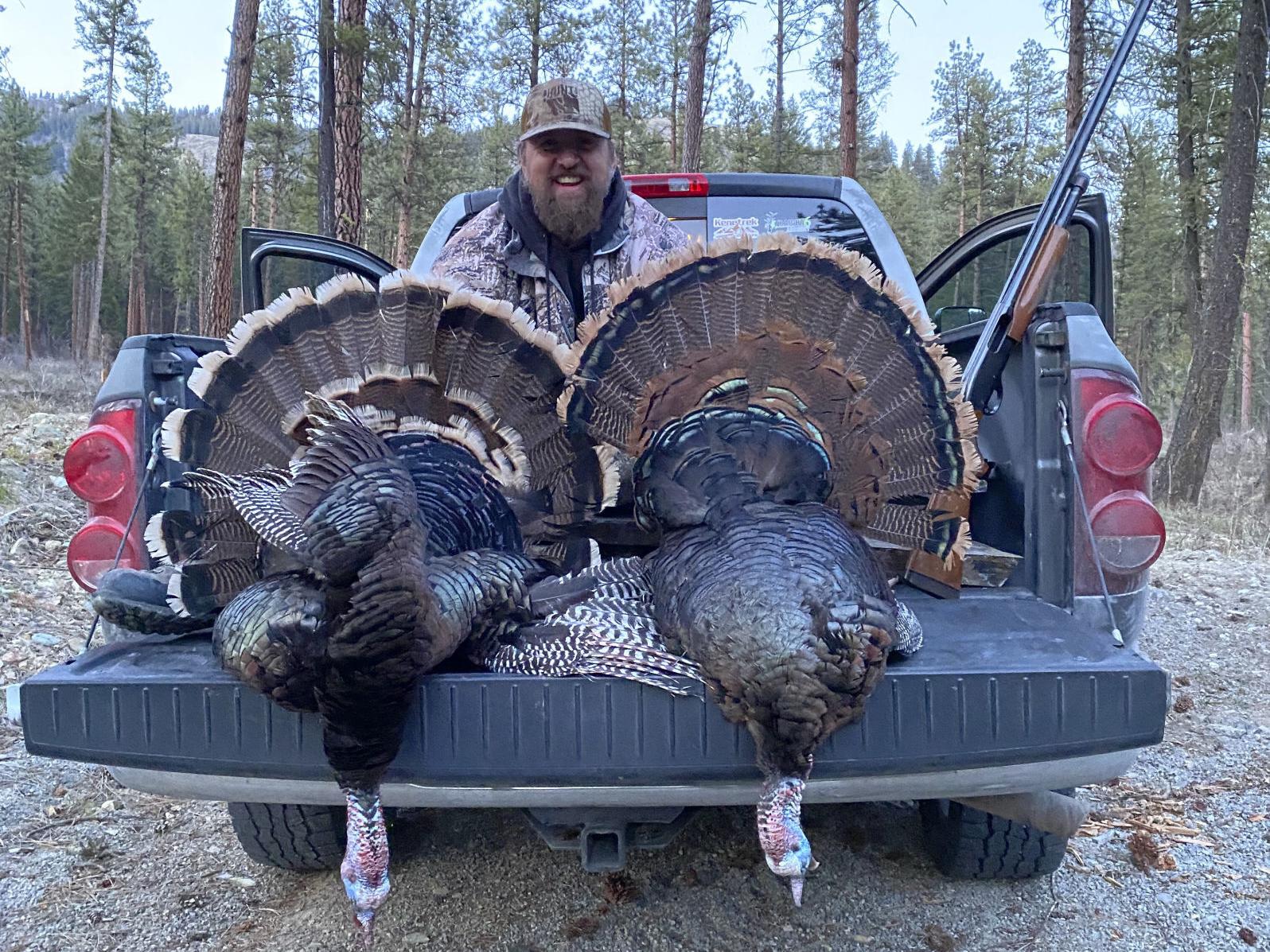 Montana Hunter Bags 2 Turkey Subspecies In Same Day Montana Untamed Helenair Com Montana Hunter Bags 2 Turkey Subspecies In Same Day Montana Untamed Helenair Com