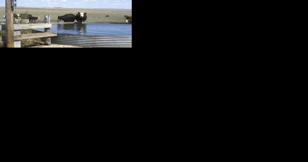 Montana Supreme Court upholds dismissal of lawsuit over water rights law - Vimarsana News