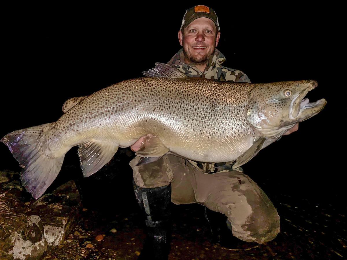 Montana state Record Brown Trout