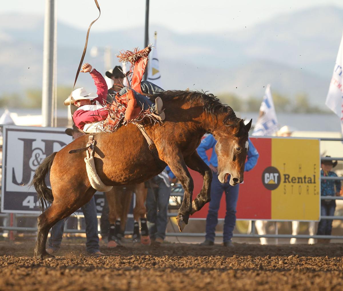 Helena Bulldoger Wows Hometown Crowd Rodeo Helenair Com