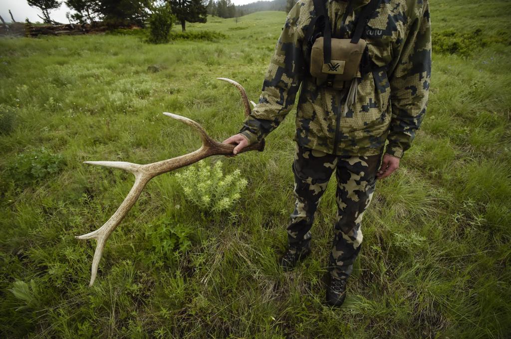Photos The 2018 Blackfoot Clearwater Antler Hunt Montana