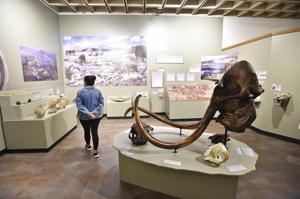 A museum attendant peruses the End of the Last Ice Age