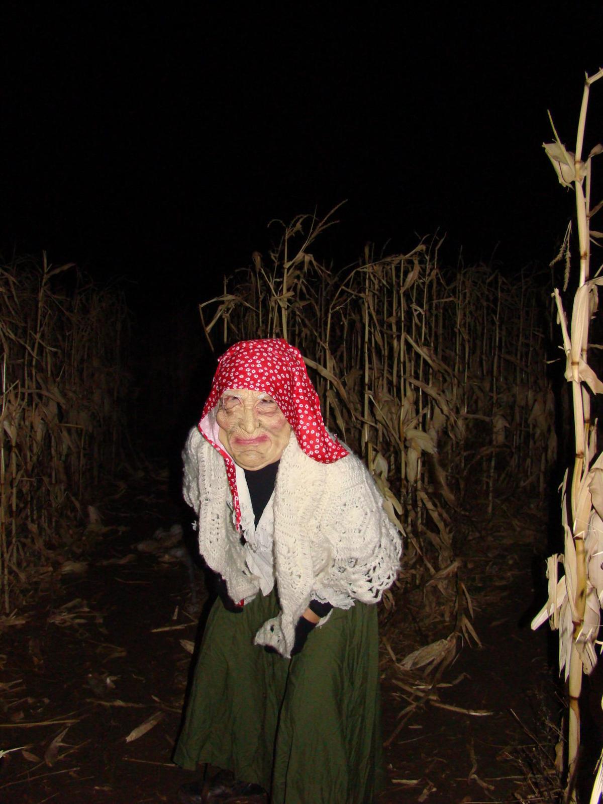 'It's just survival': Haunted corn maze near Manhattan ...