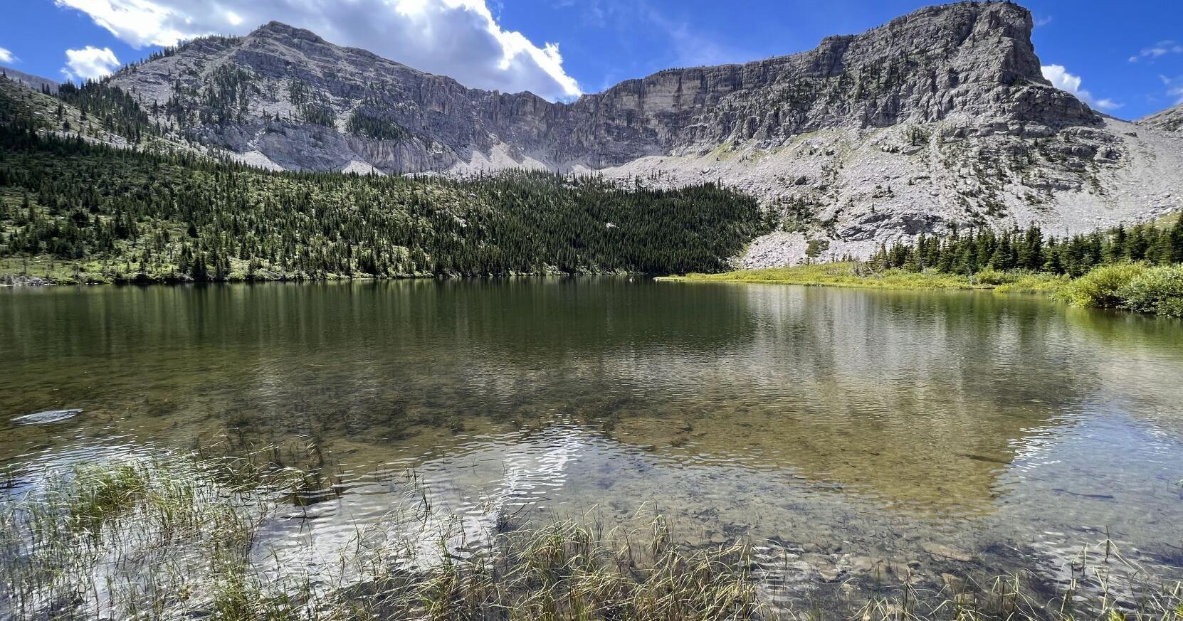 Last Badger-Two Medicine oil lease canceled - Vimarsana News