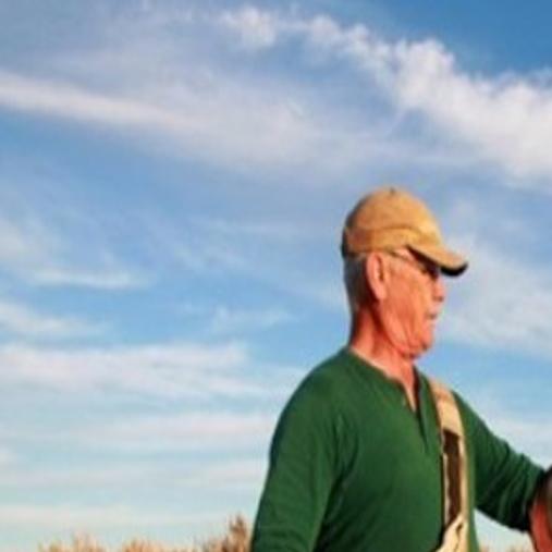 Casper Wyo Man Hunts With Golden Eagle Montana