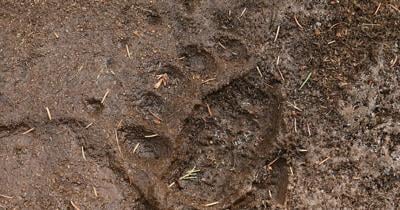 Conservation easement protects wildlife corridor in the Garnet Mountains