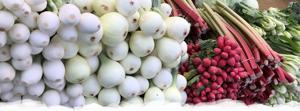 SLIDER-onions-rubarb.jpg