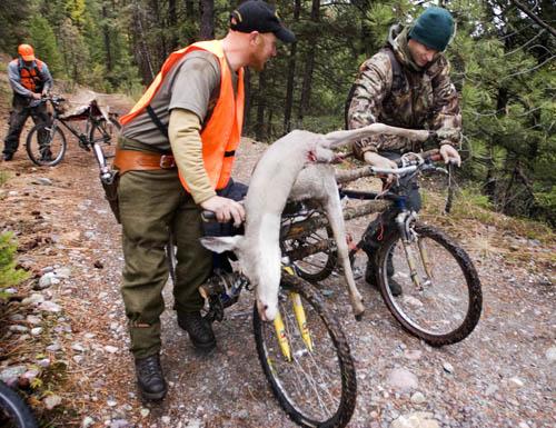 fat bike hunting