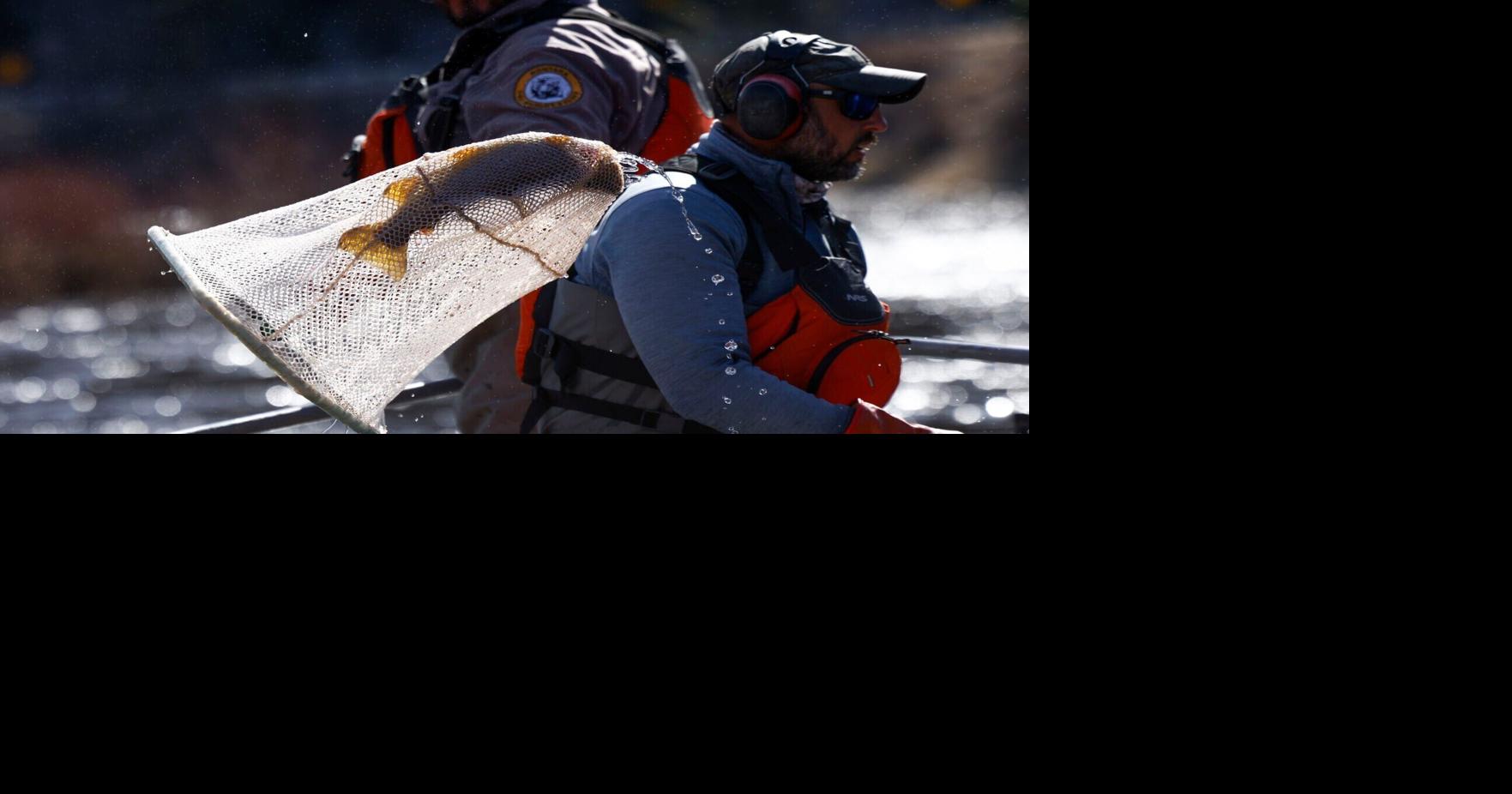 Electrofishing