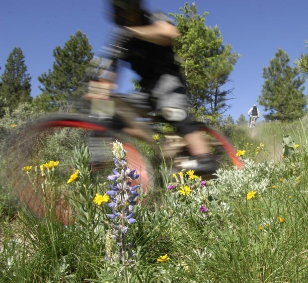 South Hills Trail System