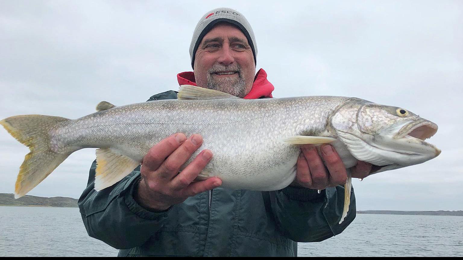 Montana Fishing Report Dam The High Water Fish Are Biting At
