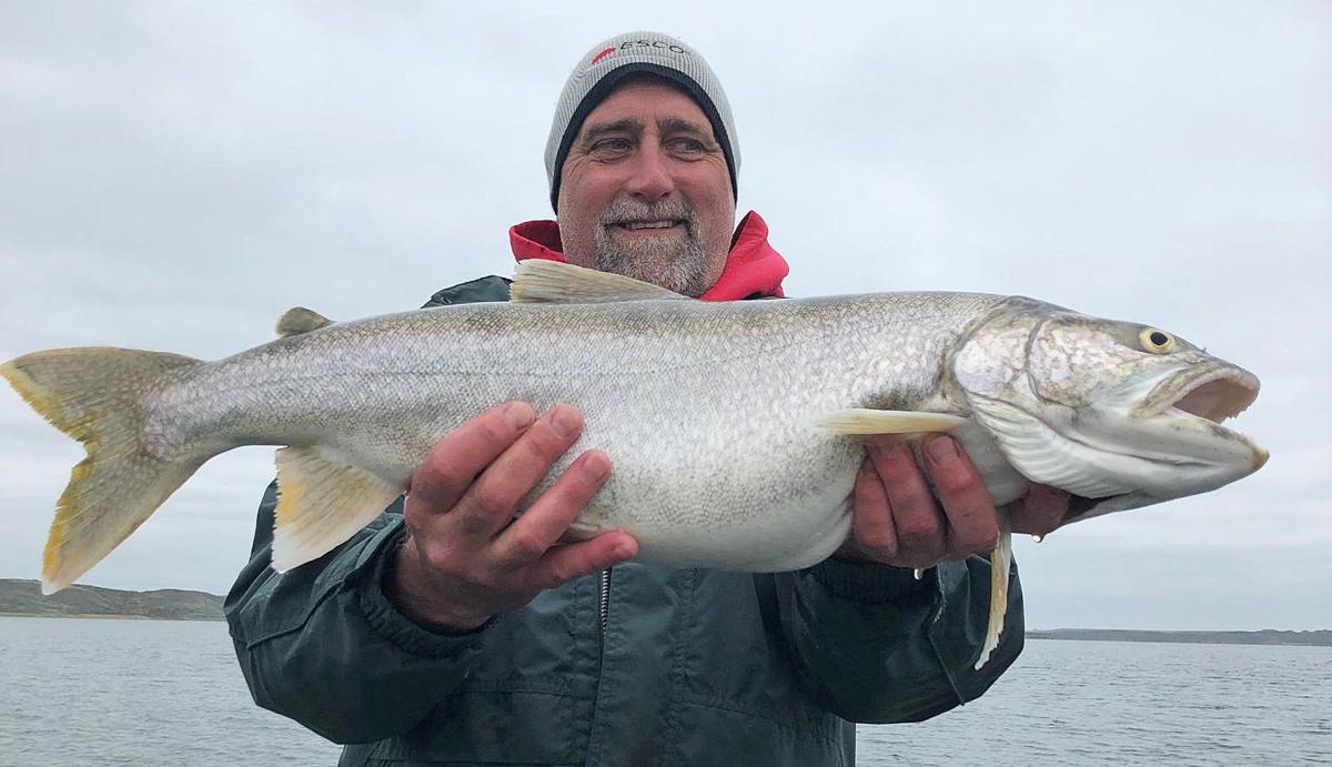 Montana fishing report: Dam the high water! Fish are biting at Fort Peck,  Bighorn River