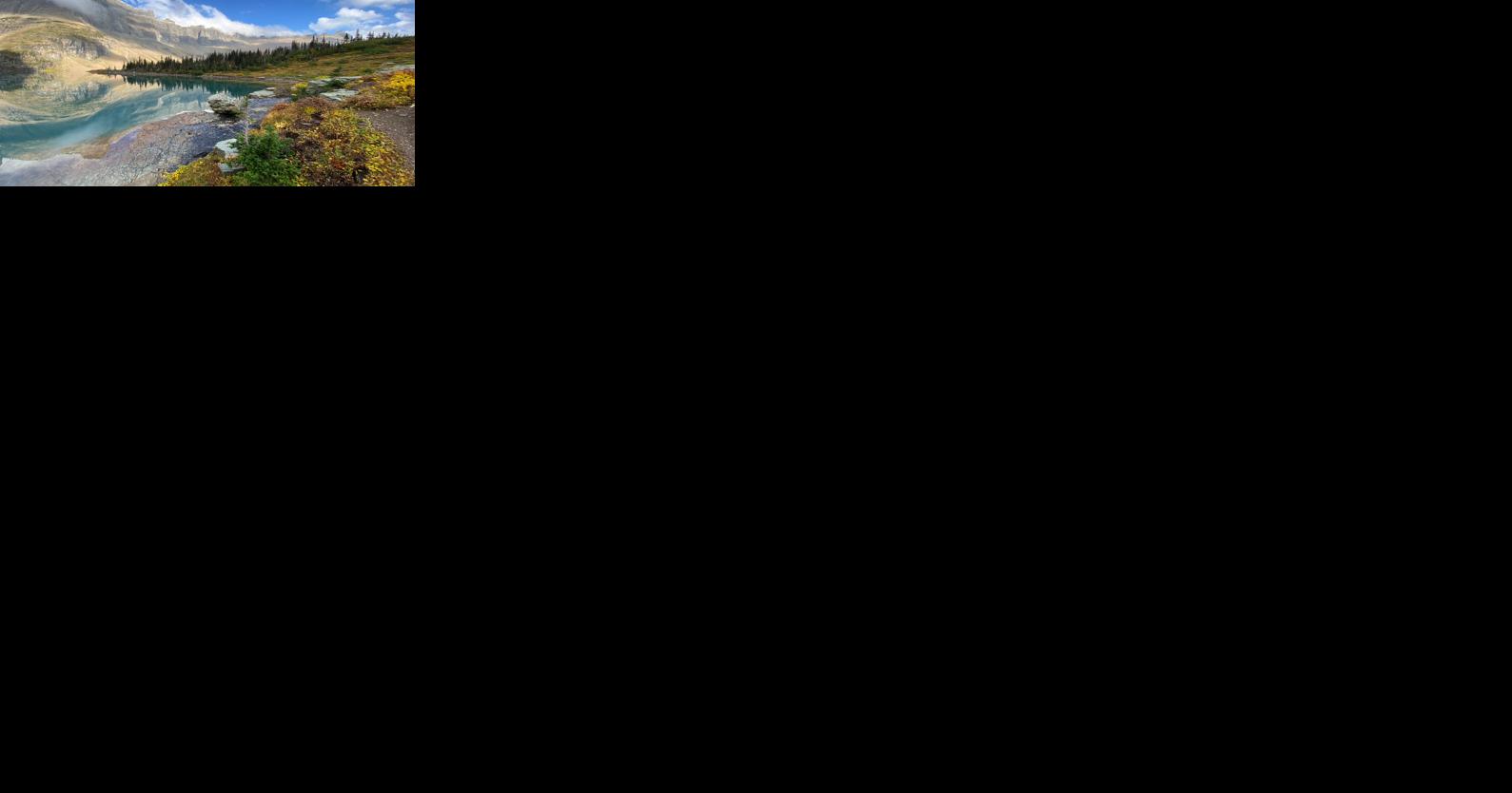 Wild Montana photo contest winners unveiled - Vimarsana News