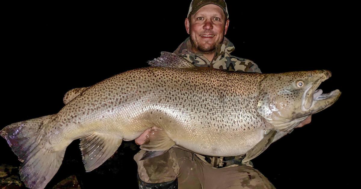 Montana angler recounts catching new state record brown trout