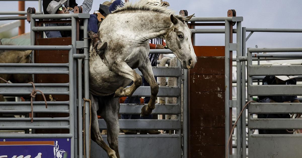 Second Change Rodeo Last Chance Stampede Rodeo
